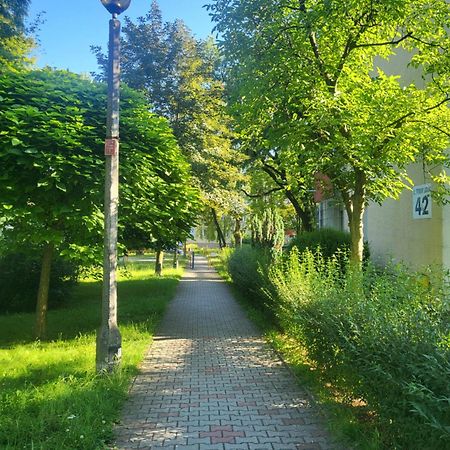 Przytulne Mieszkanie Wola Duchacka Apartment Krakow Exterior photo